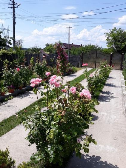 Casă cu 4 camere în Albota