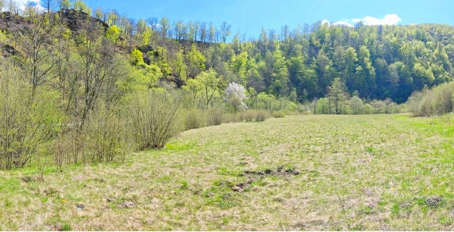 Vând teren intravilan Tarnița - Risca - Mărișel  jud. Cluj - 9