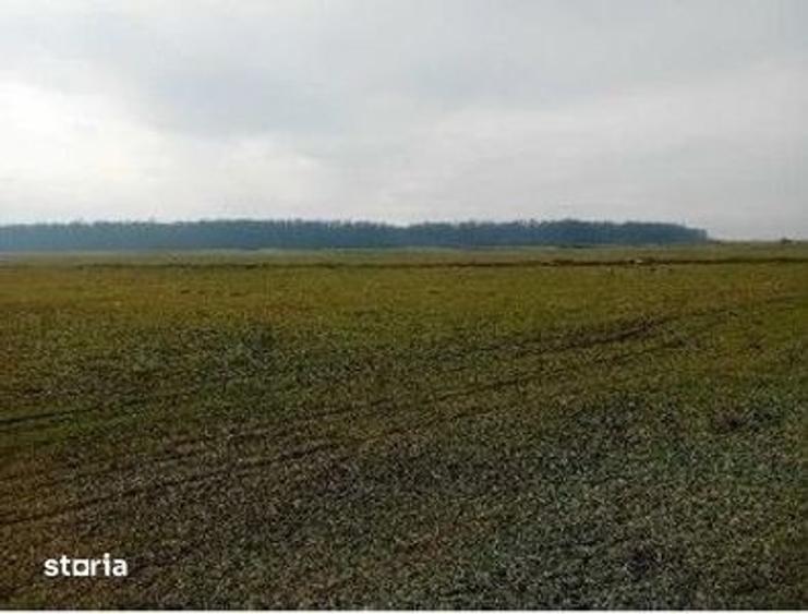Teren de 635 mp, în Hârsești