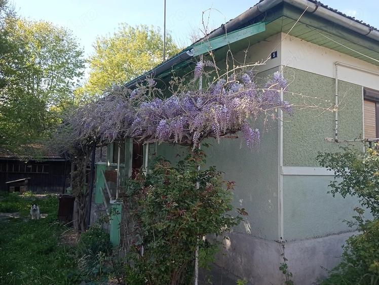 Casă cu 2 camere cu Teren 480 Mp în Central