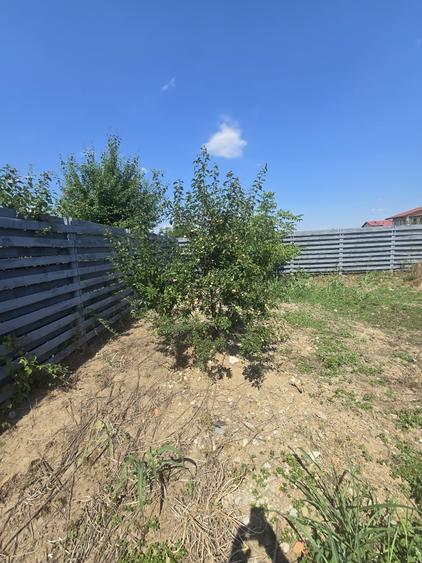 Teren Construcții intravilan de 500 mp, în Afumați