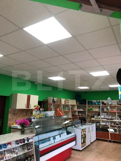 Casă cu 4 camere cu Teren 200 Mp în Agăș