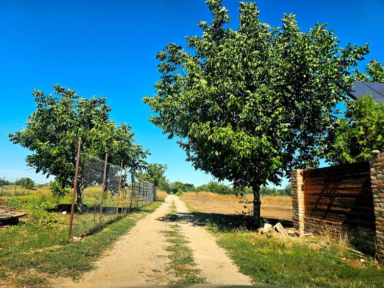 Teren intravilan de 500 mp, în Costi