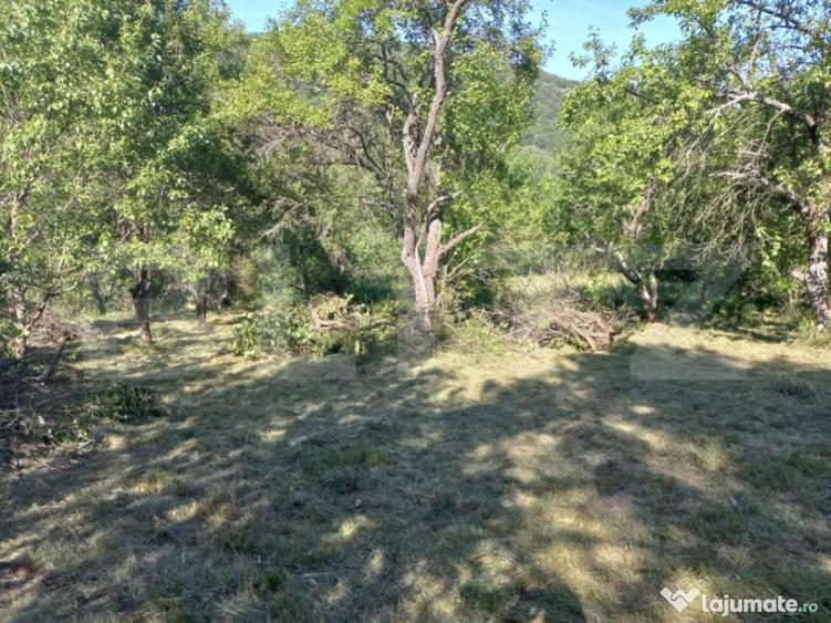 Teren intravilan 4.175 mp in Inuri ideal cabana/casa - 4