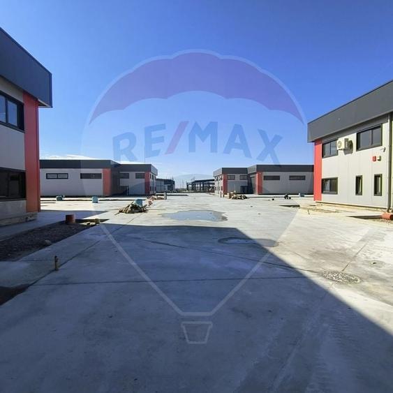 Hale noi de inchiriat Domnesti - putere instalata pana la 600kva - 2