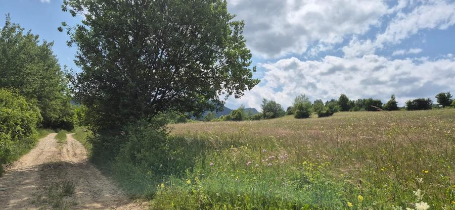 Teren Tohan parcelat in zona pitoreasca - 9