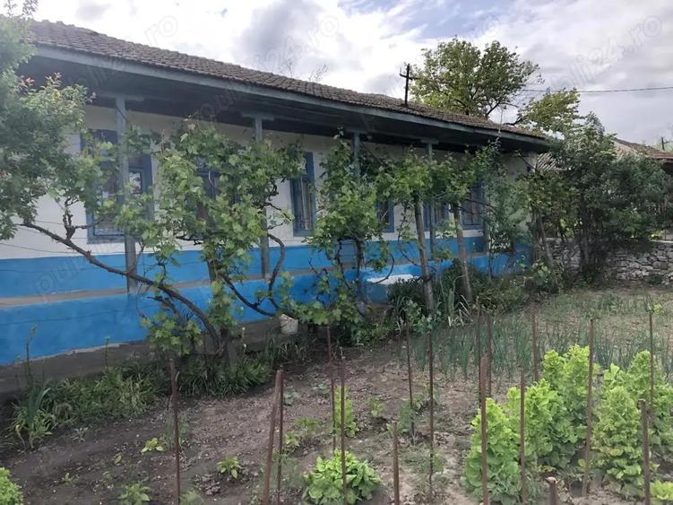 Vand casa in Loc. Petrosani, Jud. Constanta - 1