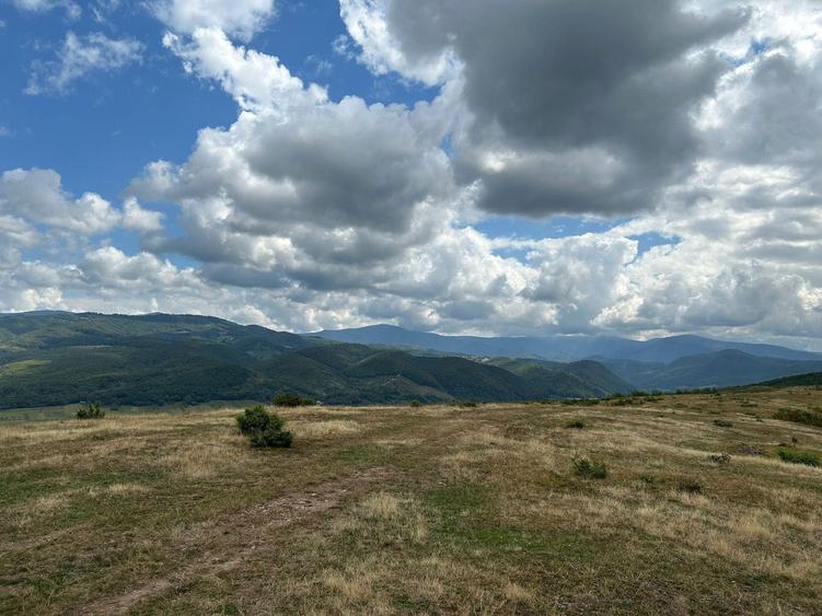 Vand teren constructie casa, sat Sarbesti, jud. Bihor, 20 euro m2 - 6