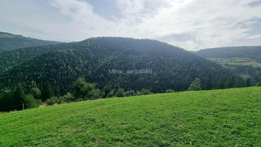 Vand teren la munte pentru cabana Vand teren la munte pentru cabana