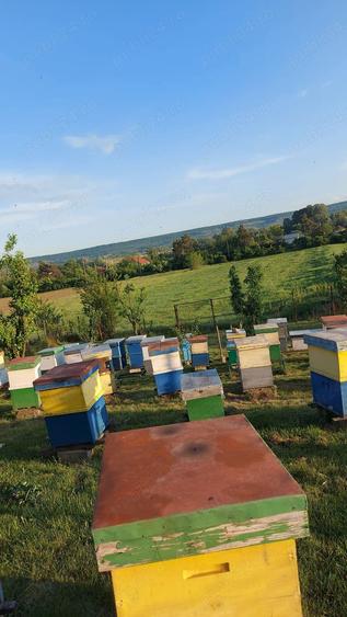 Casa de vanzare Butoie?ti, Mehedin?i - 1