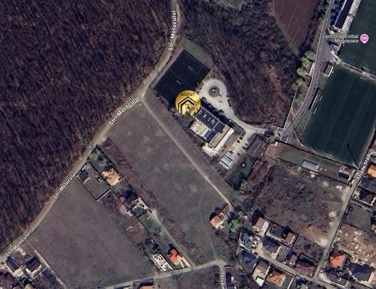 Teren intravilan 15.000mp langa FRF si Padure - Mogosoaia - 3