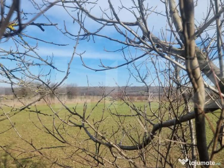 TEREN EXTRAVILAN AGRICOL - 1