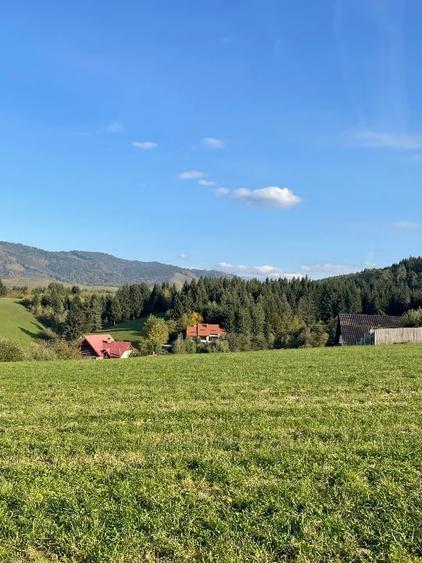 Casa de Vanzare - 3 camere, curte, 2 terase si gradina - 2