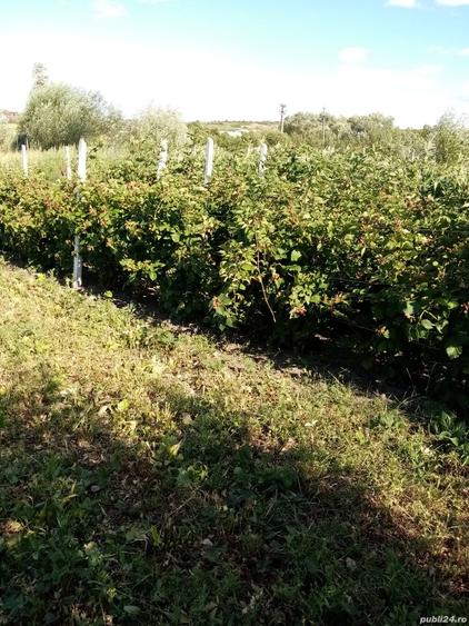 Casa P+M 128m constructie noua - 4