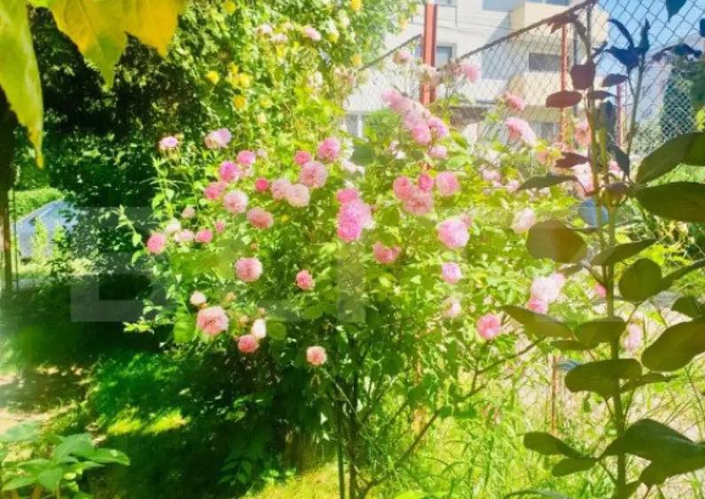 Casa individuala, 130mp utili, 434 teren, garaj, Zorilor! - 18