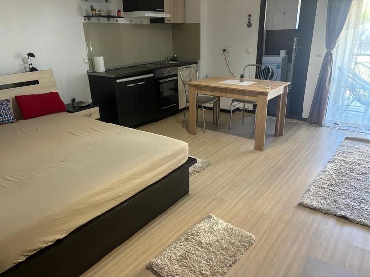 Apartament 1 camera in zona Palas - 4