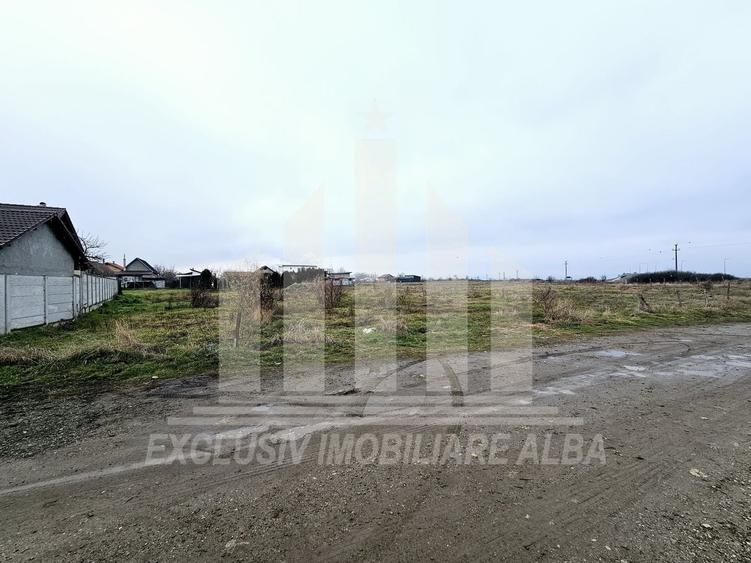 Teren intravilan | De vanzare | 5500 mp | 20 ml deschidere | Sebes - 2