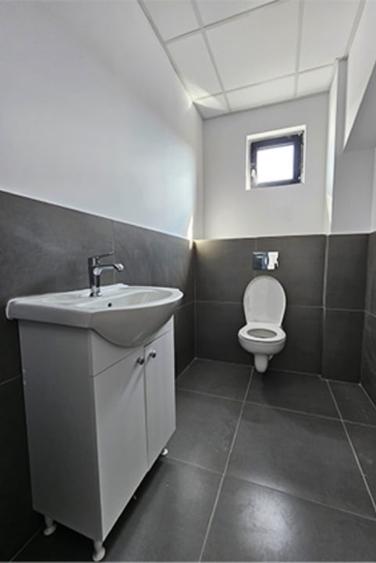 Inchiriere Hala Noua in Parc Industrial  TBM Chitila - 9