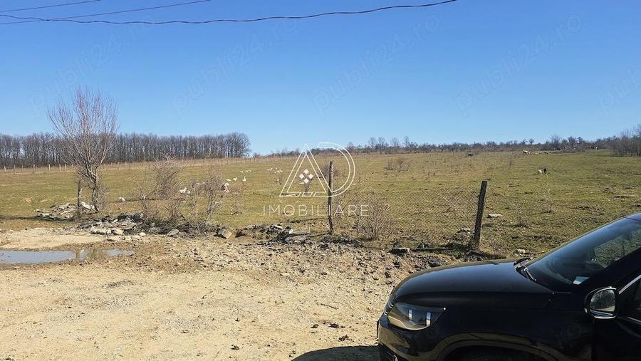 Teren de vanzare, Bale?ti, sat Rasova, Gorj - 3