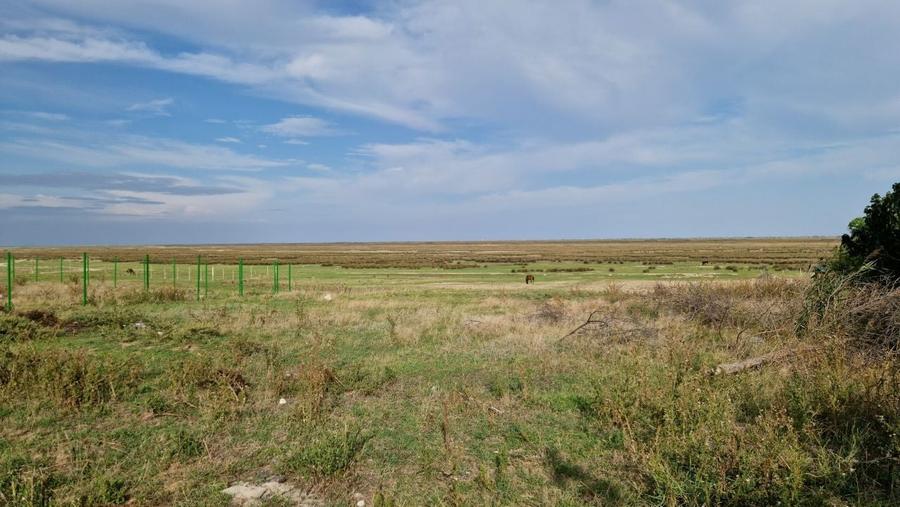 Teren VADU intravilan - 7