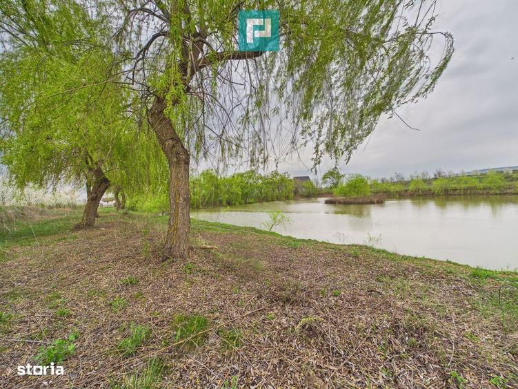 Teren 1 ha cu balta populata Alio? (Ma?loc) - 3