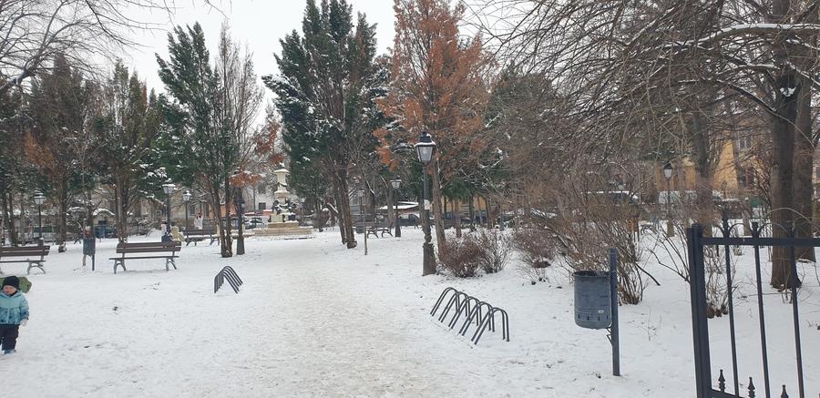 Parcul Cazzavilan, Stirbei Voda, proiect special constructie 2023 - 14