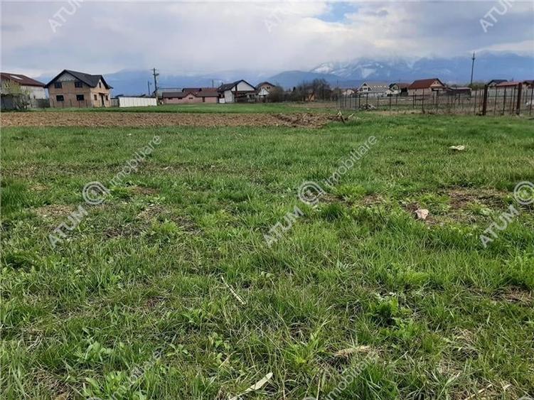 eren intravilan 1400 mp de vanzare pe Valea Avrigului - 5