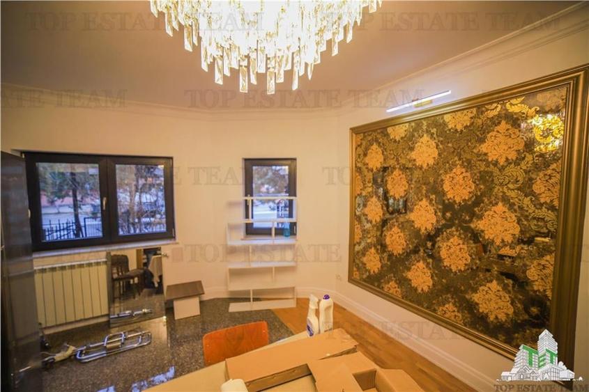 Vila pretabila rezidenta/office Iancu Nicolae - 19