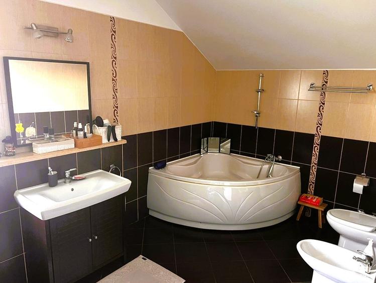 Vila cu piscina Iancu Nicolae - 6