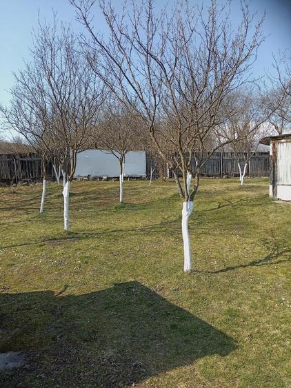 Vand casa in Tichindeal - 8