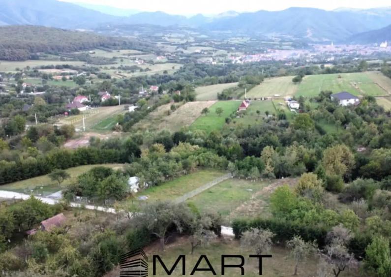 Teren intravilan 1000mp Tropinii Noi - 1