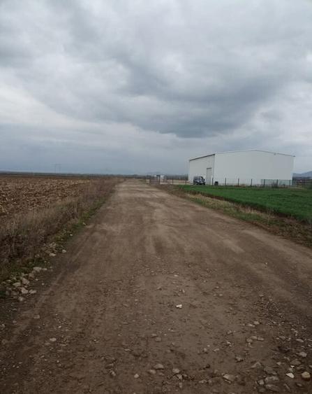 De vanzare terenuri intravilane intre Chilieni si Ozun - 6