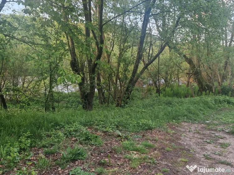 Teren de vanzare 26403mp - 8