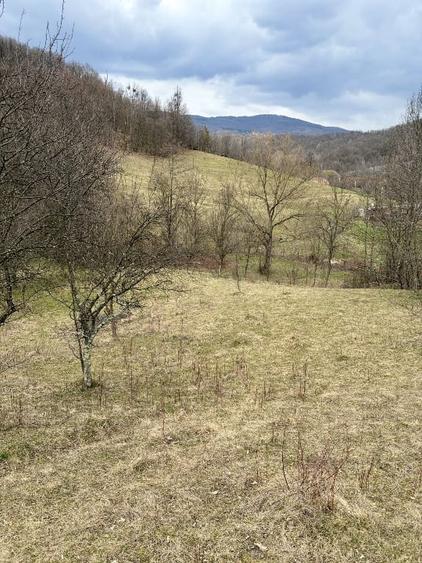 Teren Salatrucel Valcea intravilan cu curent 380V 3300mp+4200 faneata si padure - 4