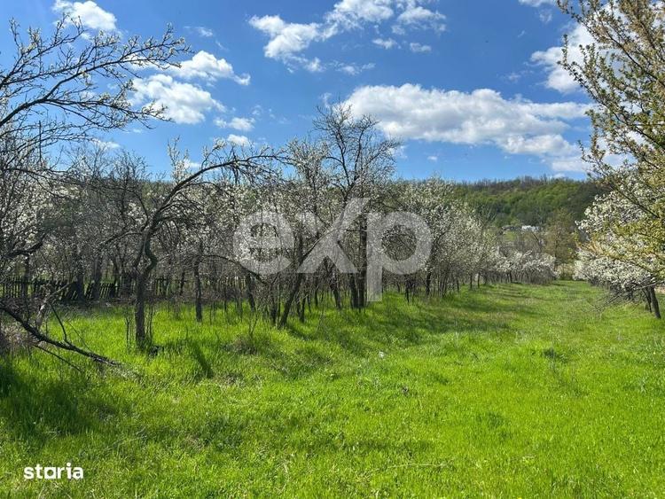 Casa la tara cu teren 3940 mp si livada zona linistita - 4
