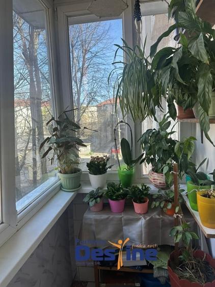 Apartament 2 camere, zona excelenta, Calea Aradului, Timisoara - 13