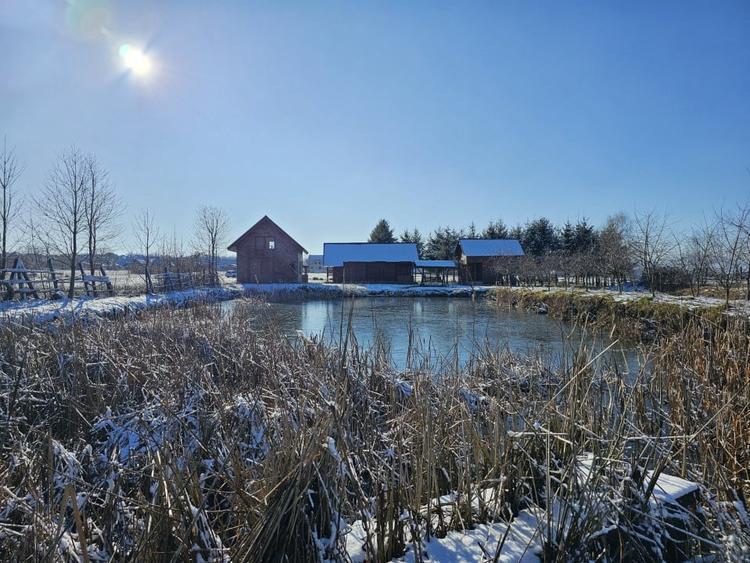 Casă de vacanță cu 6 camere + teren suprafață 7.384 mp, Brădet, Bihor - 3