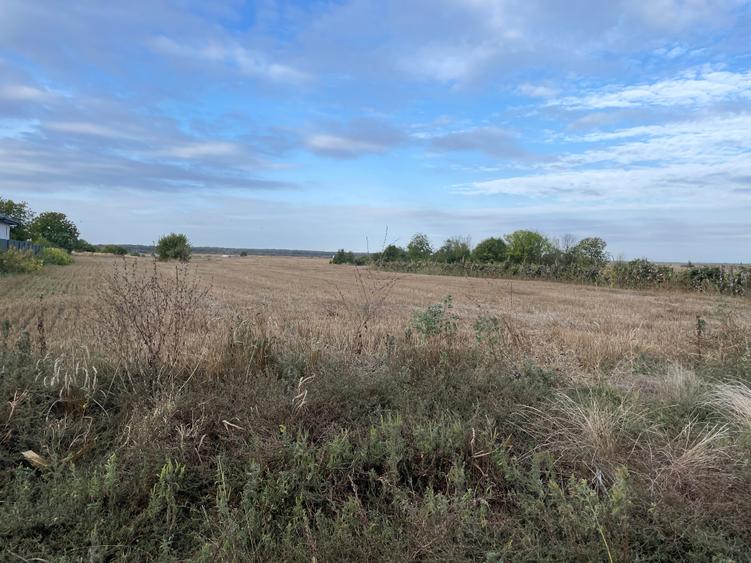 Teren extravilan/Utilitati - 6