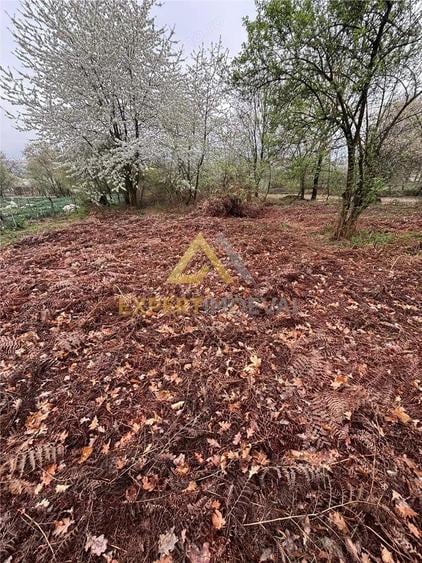 Teren intravilan in spate la Castel Transilvania 1.000mp - 5