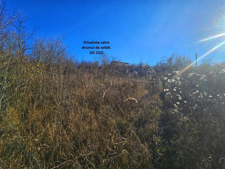 Teren intravilan 2.000 mp – Seciu, 2 deschideri, Priveliște panoramica - 9