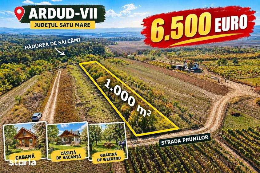 Teren de 1000 mp, în Burdea