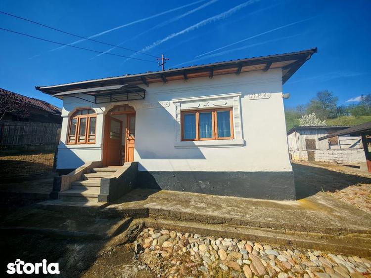 2 Case + teren 3233 mp Darmanesti Arges - 13