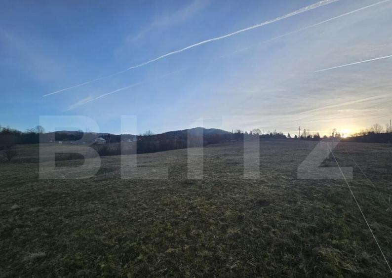 Teren intravilan de 16667 mp, Sosea de Centura, Abrud - 5