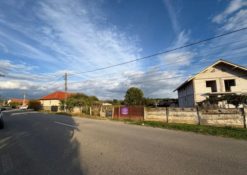 Teren 4449 mp cu utilitati, Curtisoara - la 13 km Tg. Jiu