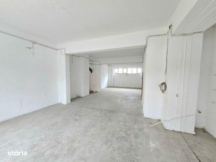 Inchiriere Spatiu Comercial Vitrat, 118 mp Nicolina - Profi - 3