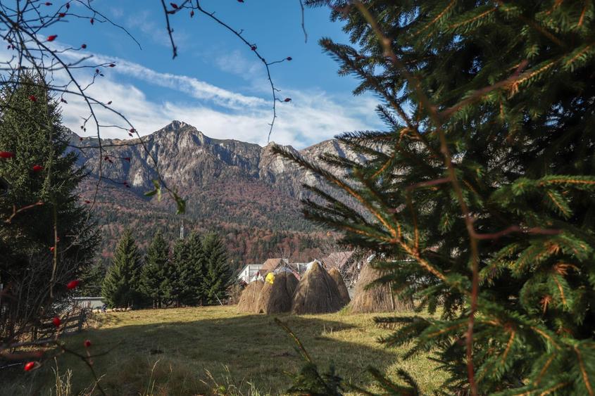 Busteni – 2675 Mp Teren Superb De Vanzare! - 1