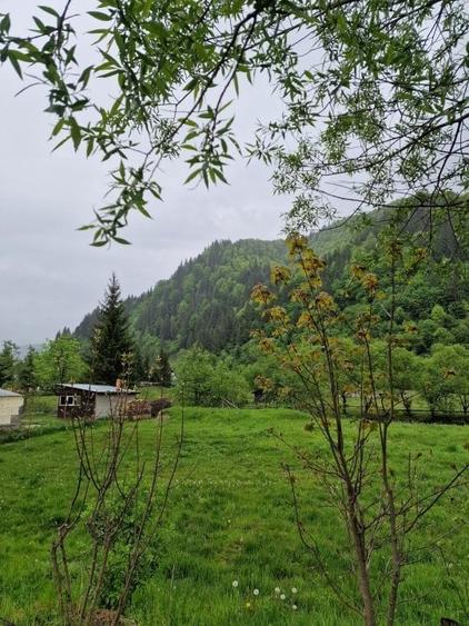 Teren intravilan - Rucar - Satic - 1775 mp - la strada principala - deschidere - 9