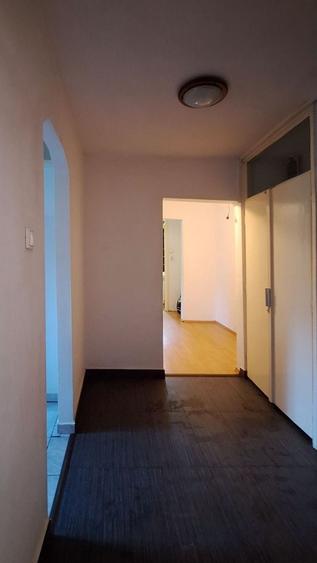 Apartament cu 3 camere,luminos in zona Aradului - 7