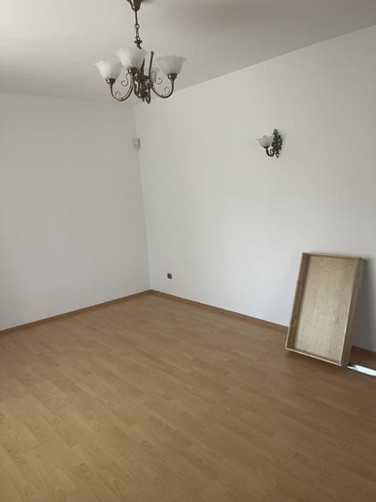 Vila individuala 7 camere de vanzare/inchiriere Iancu Nicolae - 14