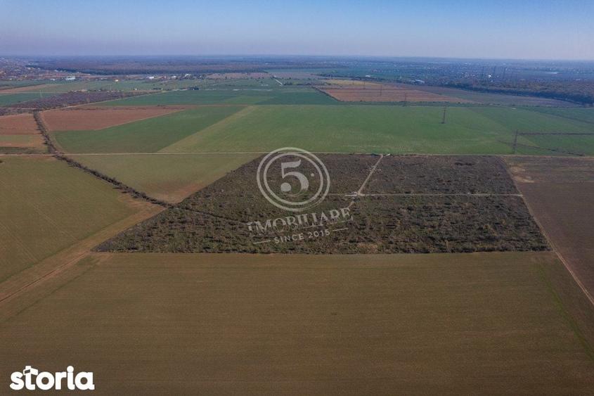 Ocazie- Teren Intravilan de Vanzare- Peris Snagov- Doar 10 euro/mp - 9